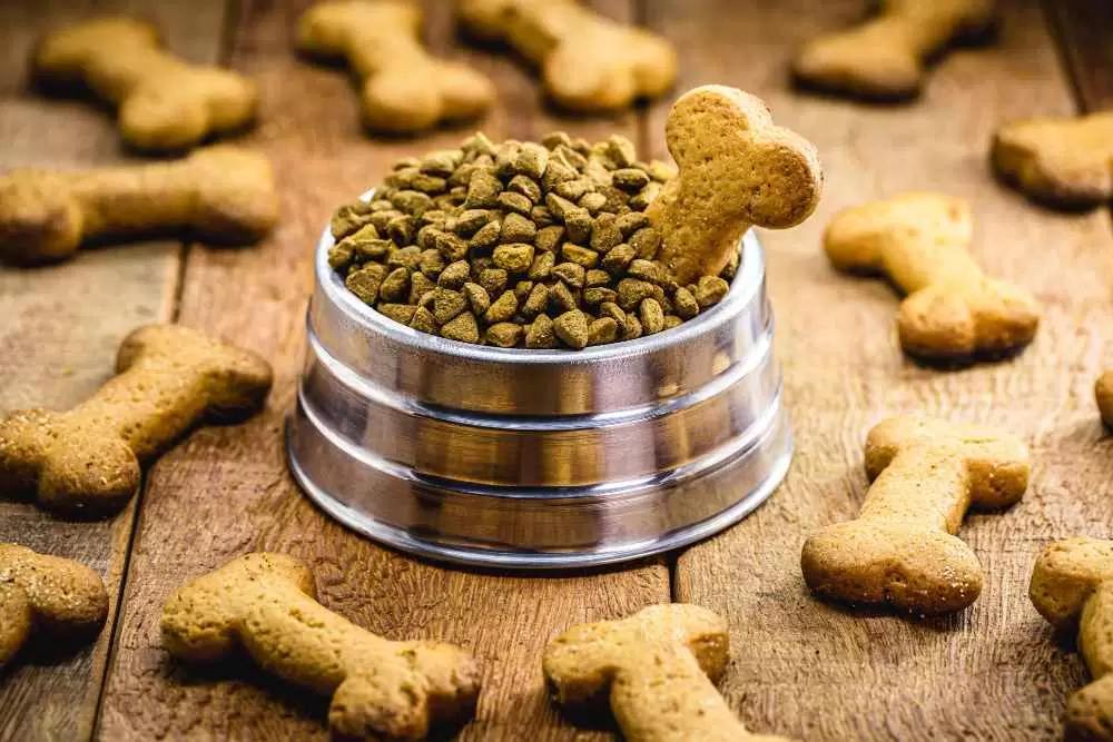 Ranking: TOP 5 najlepszych suche karmy dla psów